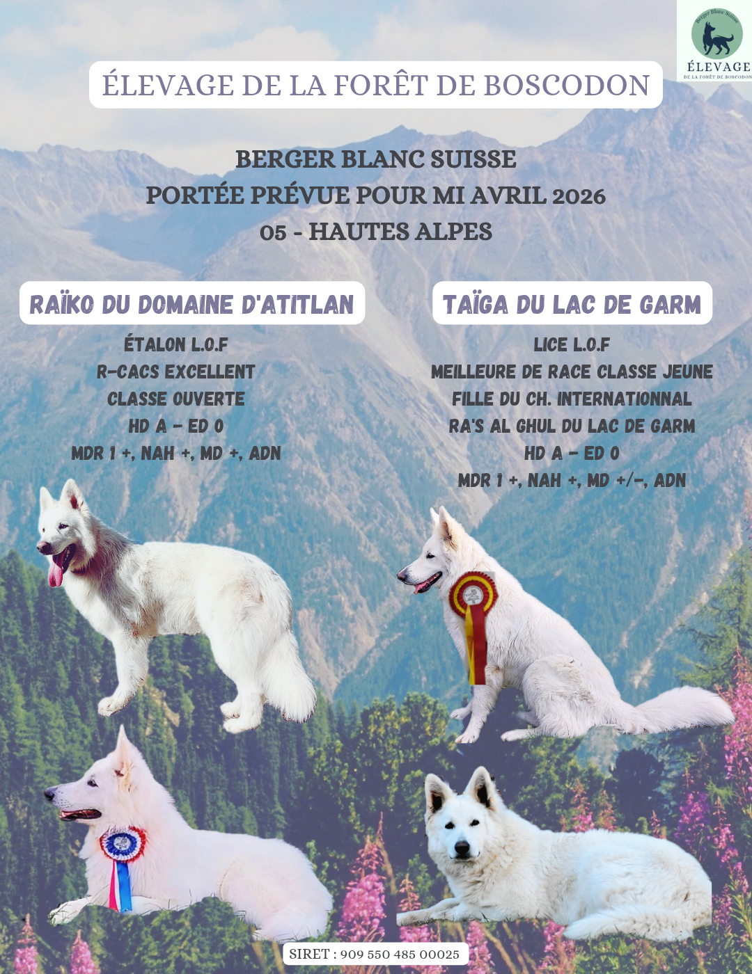 De La Forêt De Boscodon - Portée 2026