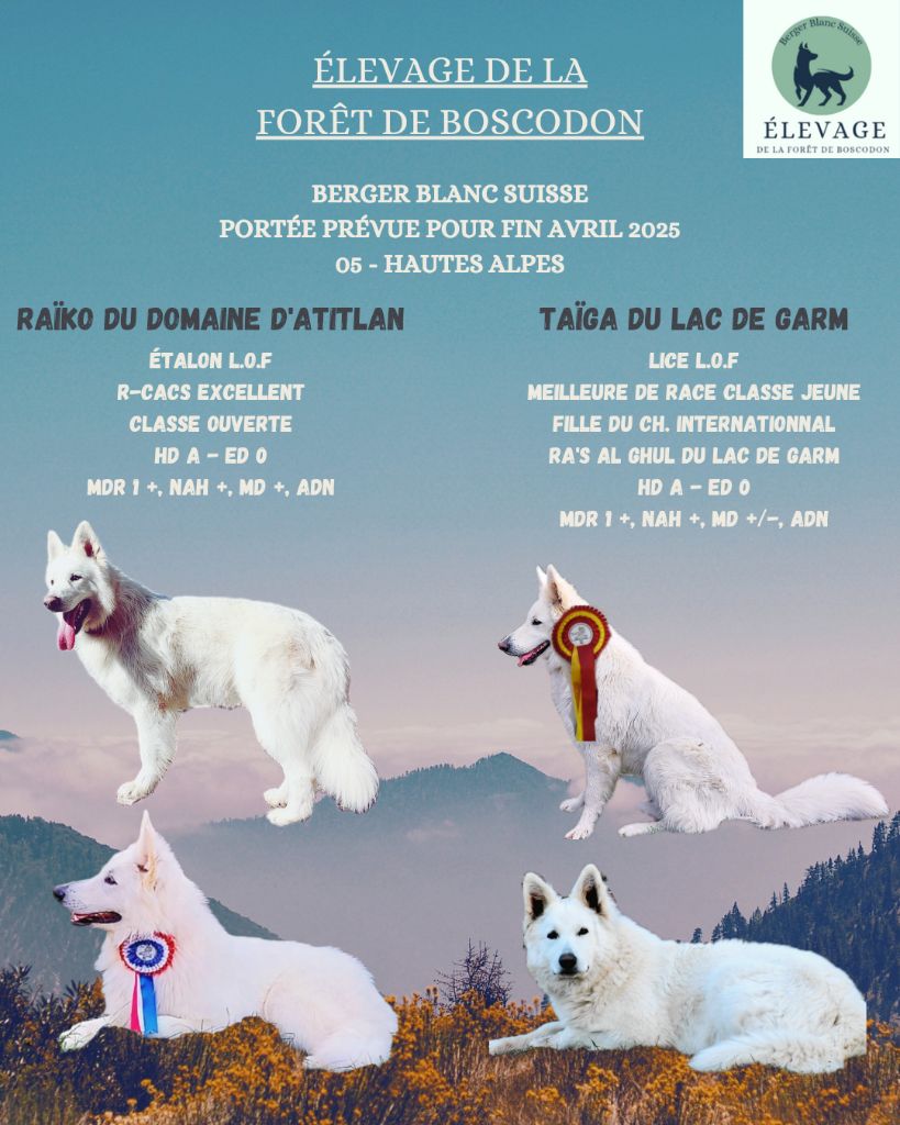 Portée avril 2025